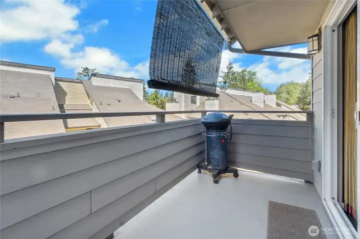 Deck off living room