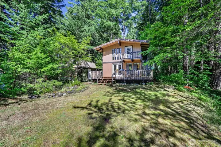 Backyard offering open lawn space surrounded by mature evergreens. Backyard offering open lawn space surrounded by mature evergreens.