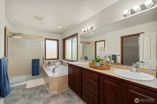 Soaking tub & walk-n shower
