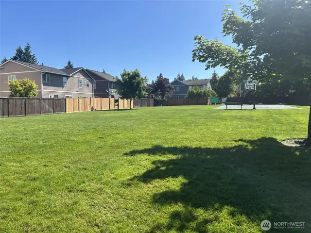 Grassy play area in the Community Park!
