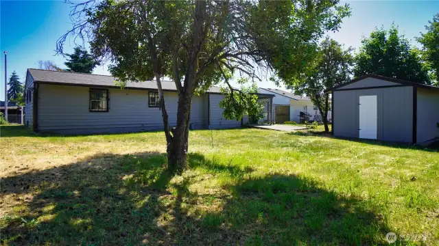 Large backyard