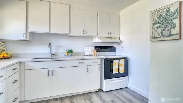 Large farmhouse undercount sink