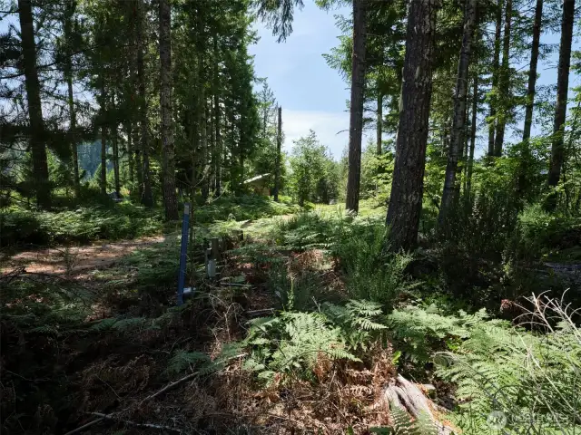 Individual Well