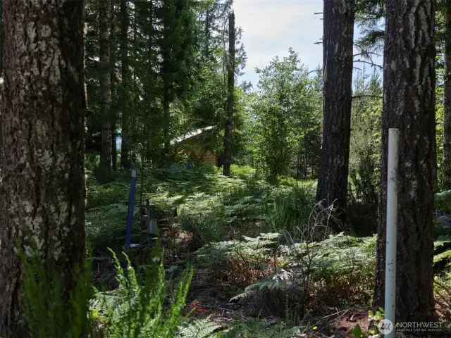 Acreage