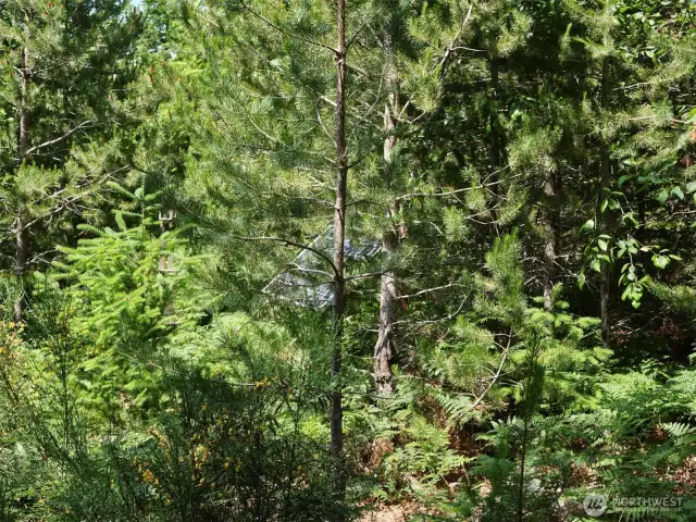 Solar Panel