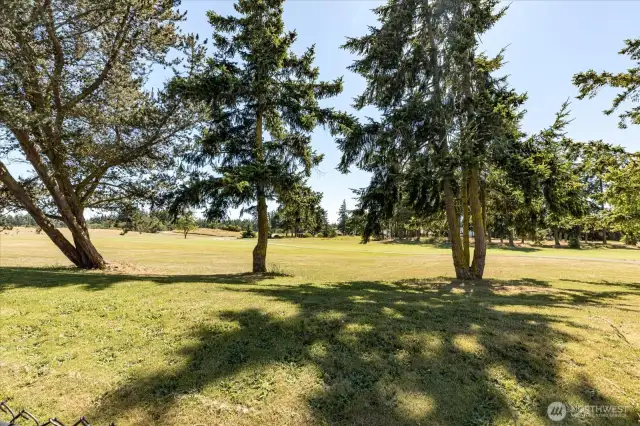A Golf Course in Your Backyard