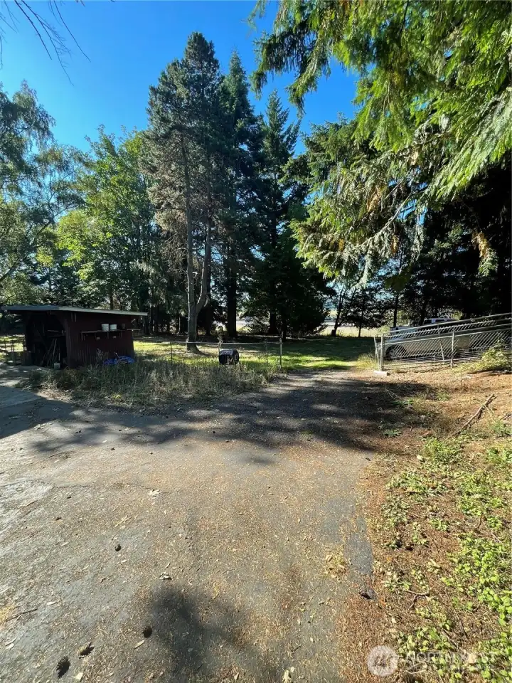Driveway to garage