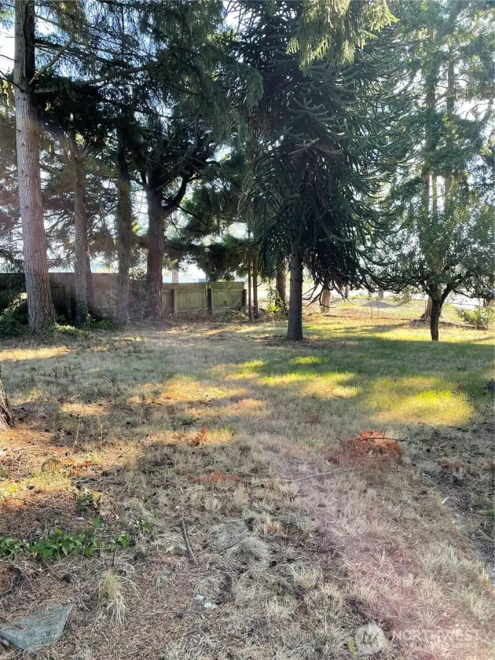 Frontyard