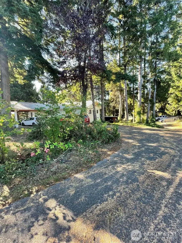 Driveway