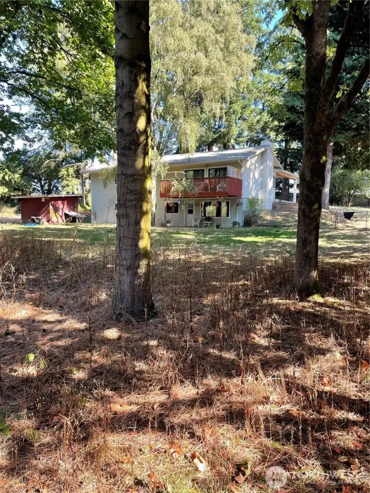 Backyard