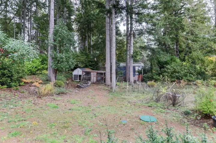 Looking towards the other side of this 20,400 sq. ft property to the chicken coop, structure used as car or boat cover.