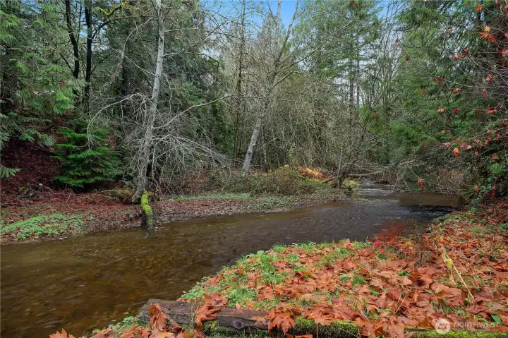Cranberry creek is your backyard - bubbling by and you can hear it from the back deck.