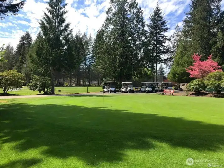 Golf carts available for rent.