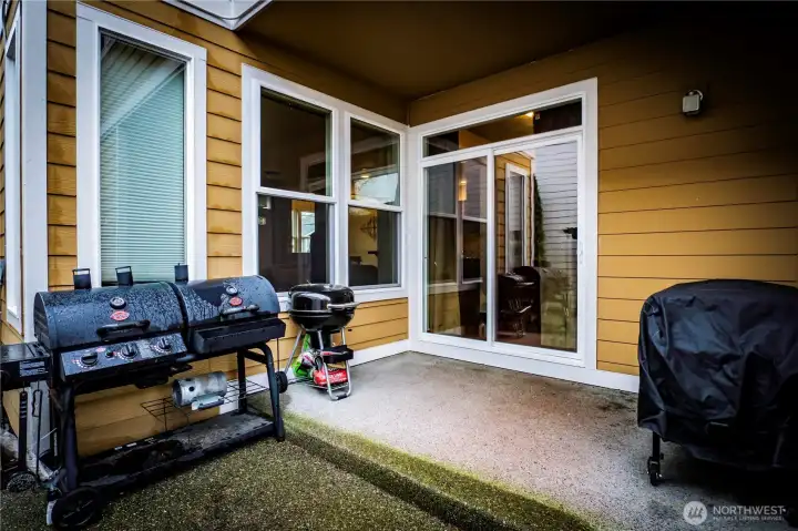 COVERED PATIO AREA...A MUST IN THE PNW FOLKS