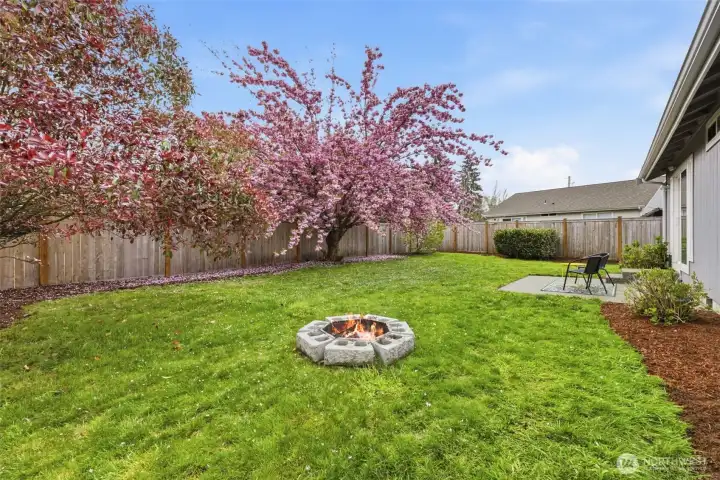 Backyard with fire pit