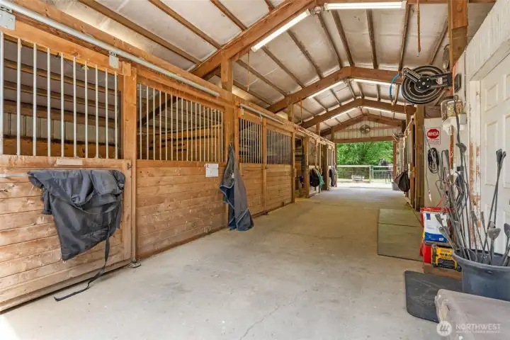 barn with 12*12 stalls