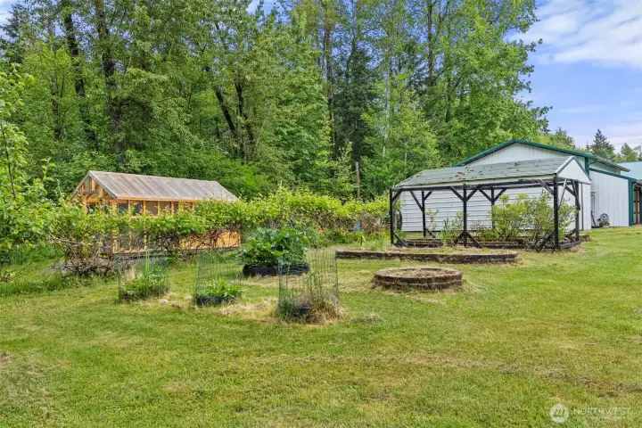 greenhouse and chicken-coupe