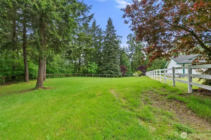 surrounded by trees