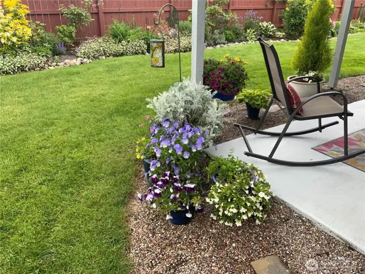 Gorgeous back yard with mature landscaping and covered back patio is perfect for entertaining Gorgeous back yard with mature landscaping and covered back patio is perfect for entertaining