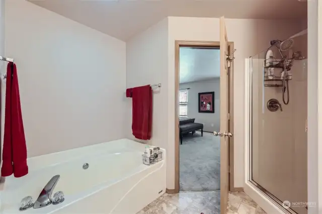 Separate Shower & Tub in Primary Bath