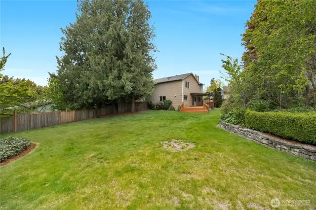 Looking back at the house in the amazing yard.