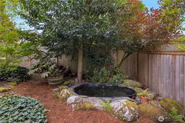Small pond in the corner of the yard.