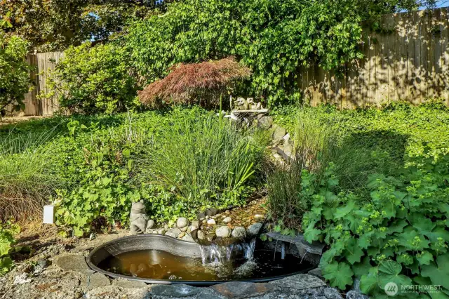 Small waterfall and pond near the back deck.