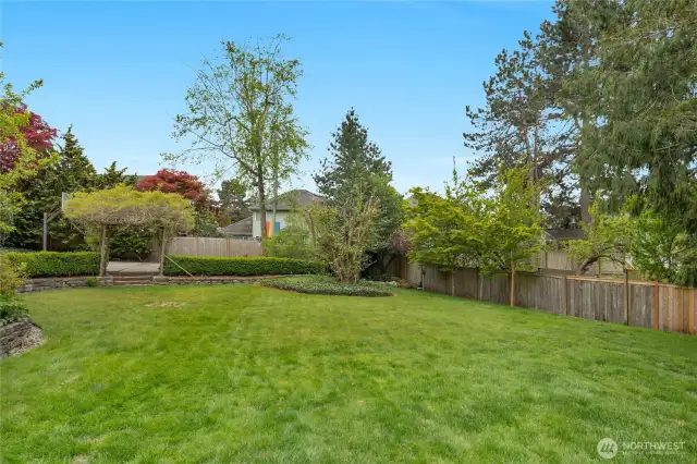 Gigantic yard, perfect for games of all kinds.