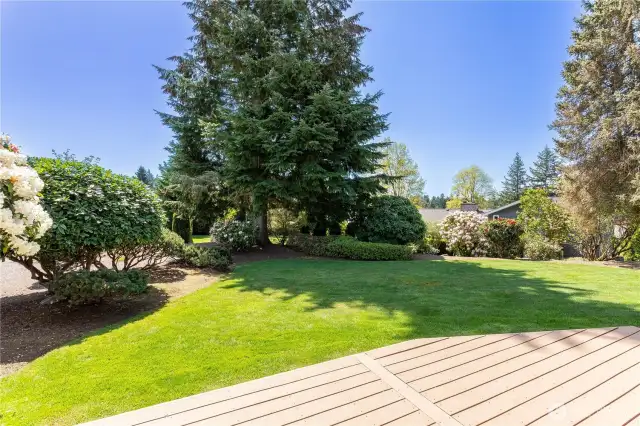 View of rear deck & lawn from sliding glass doors at living/dining room