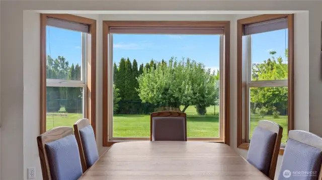 Enjoy the view of fruit trees in your big back yard