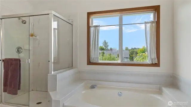 Soaking tub and walk in shower