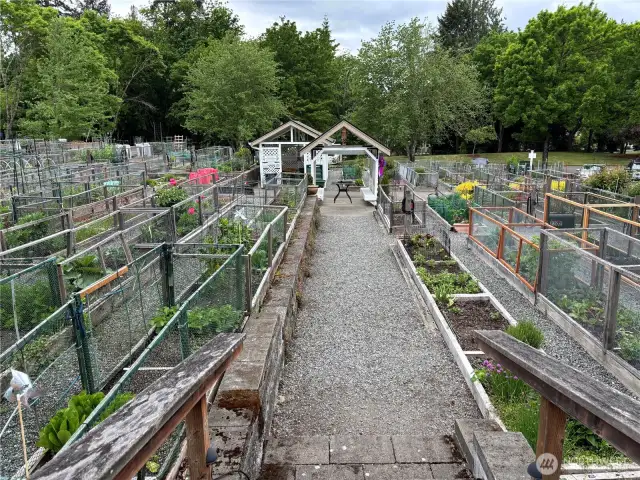 The large pea patch allows gardeners to grow their own veggies and flowers.