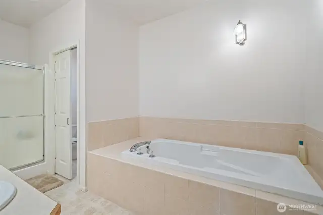 Soaking tub in primary bath.