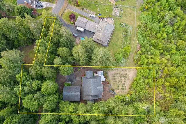 The dots in the yard are the Lavender plants.