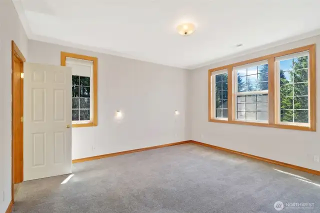 Expansive primary bedroom with large windows offering abundant natural light and peaceful tree-lined views. Neutral paint and cozy carpet flooring create a relaxing retreat.