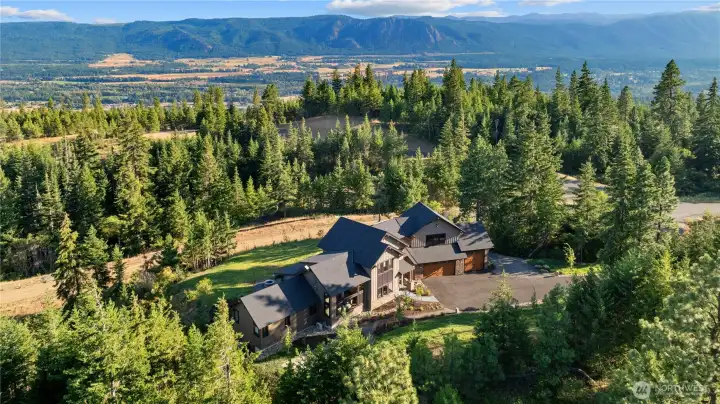 Top of the hill drenched in nature's perfection.