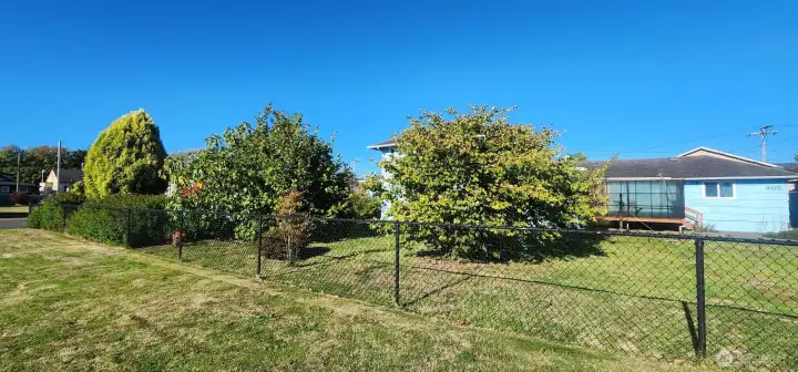 View of neighbors garden