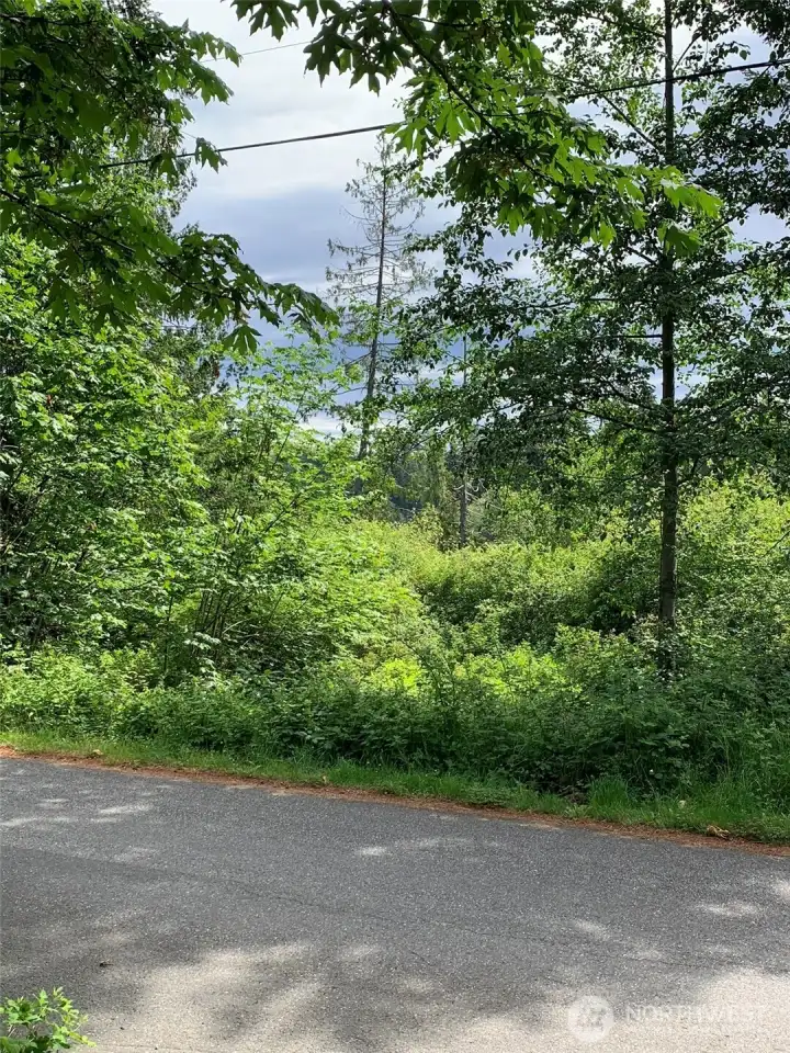 Sloped to low bank waterfront