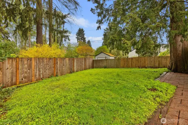 Plenty of backyard space to enjoy.