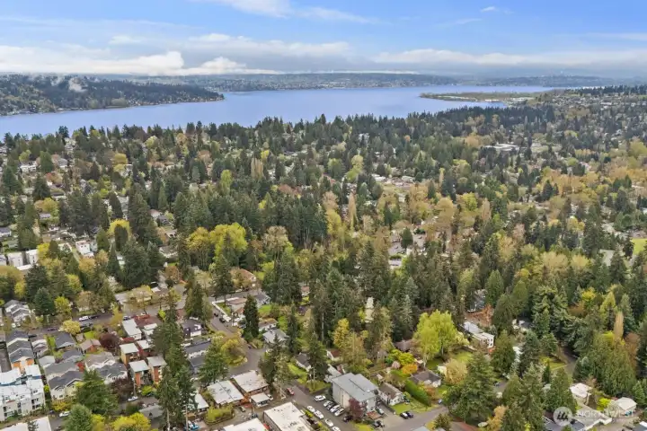Looking southeast toward nearby Lake Washington.