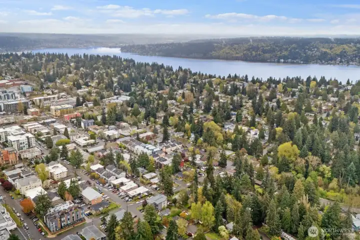 Looking northeast toward Lake Washington.