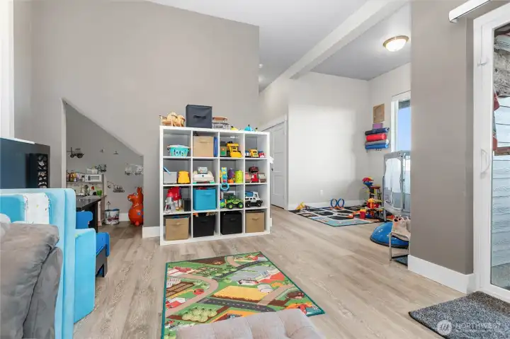 Downstairs Family Room