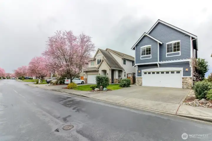 Panorama Heights 5 bed + loft!