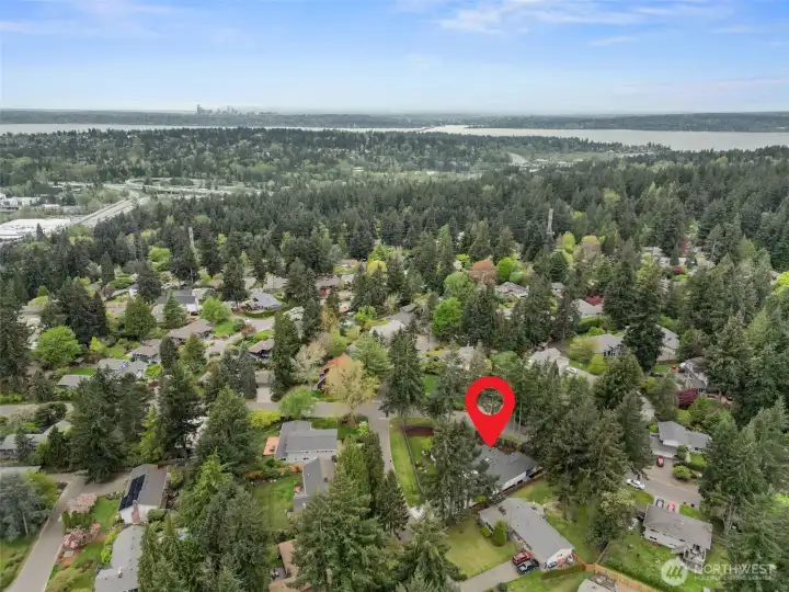 Walking distance to parks, Easy Access to Kirkland & Seattle
