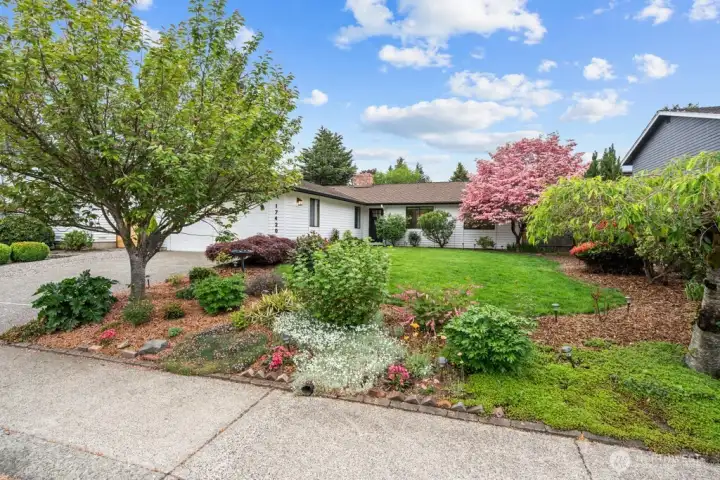 Curb appeal in bloom. Dogwood, Cherry Blossom, Maple and more frame the front yard beautifully.