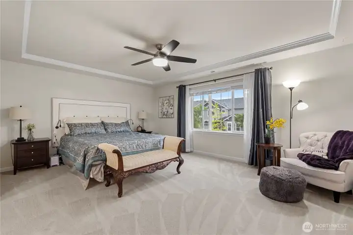 Primary Suite with tray ceiling
