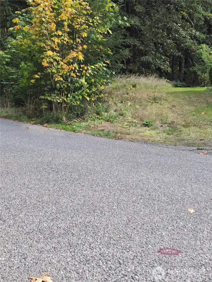 Red circle indicates NW corner of property. looking south
