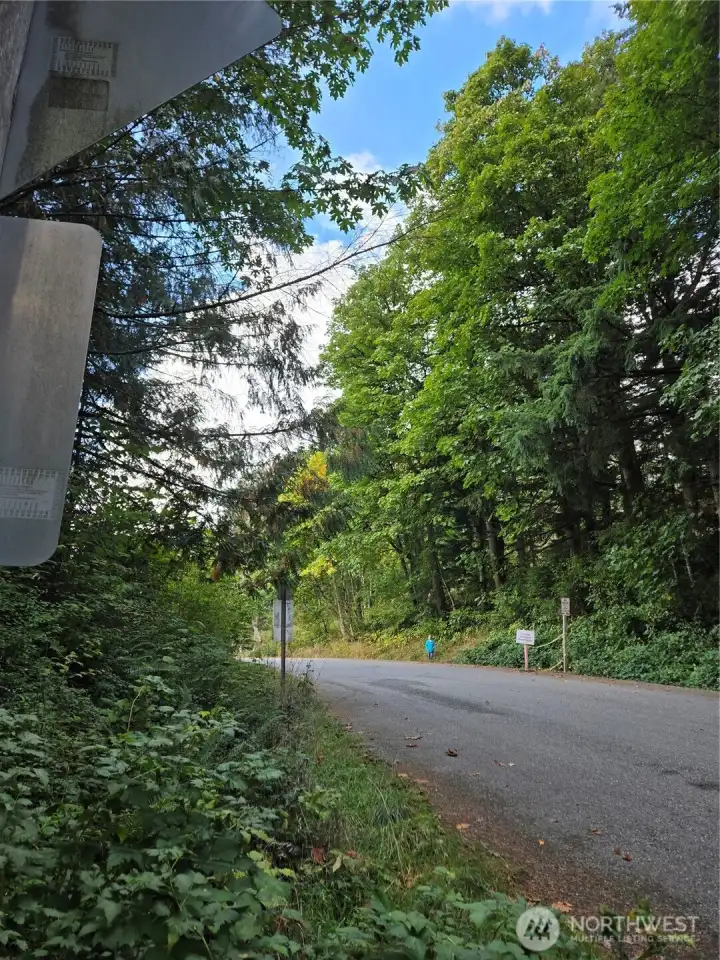 Middle of lot on the ast side property line looking north