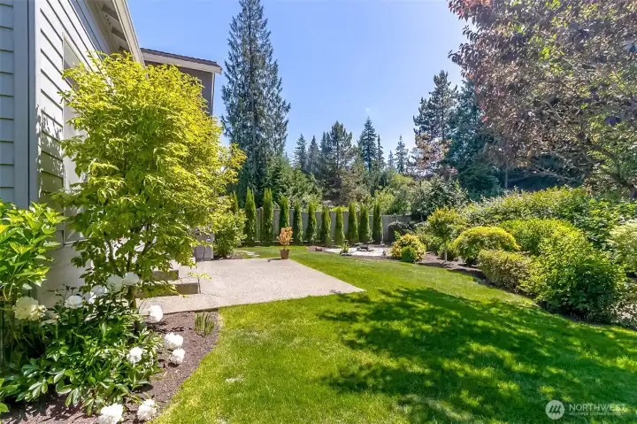 Here's another look at the gorgeous back yard.