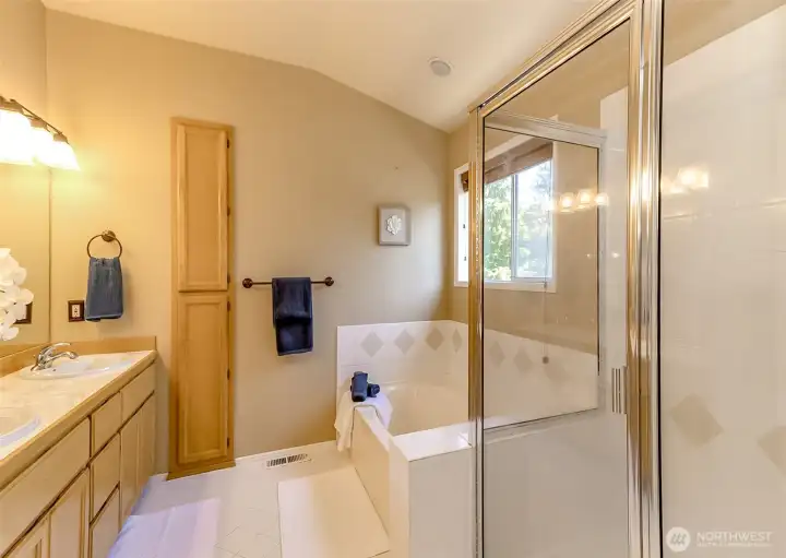 Here is the primary 5 piece bathroom.